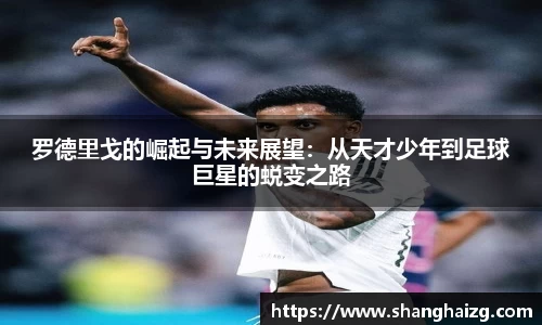 米乐M6官网